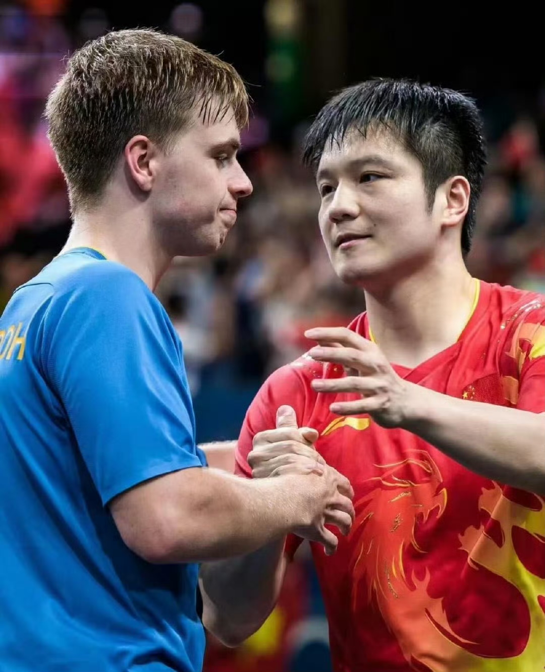 英格兰队碾压葡萄牙队，樊振东惊艳四座