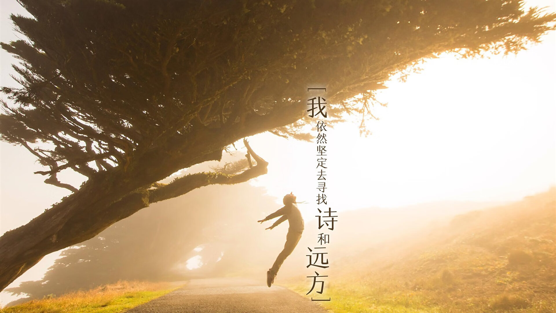 从突尼斯掀翻里昂到英超争冠，本泽马的跨时空足球叙事