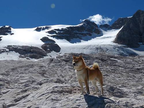 从潘帕斯风暴到巴黎王座，当梅西的传承遇见姆巴佩的加冕