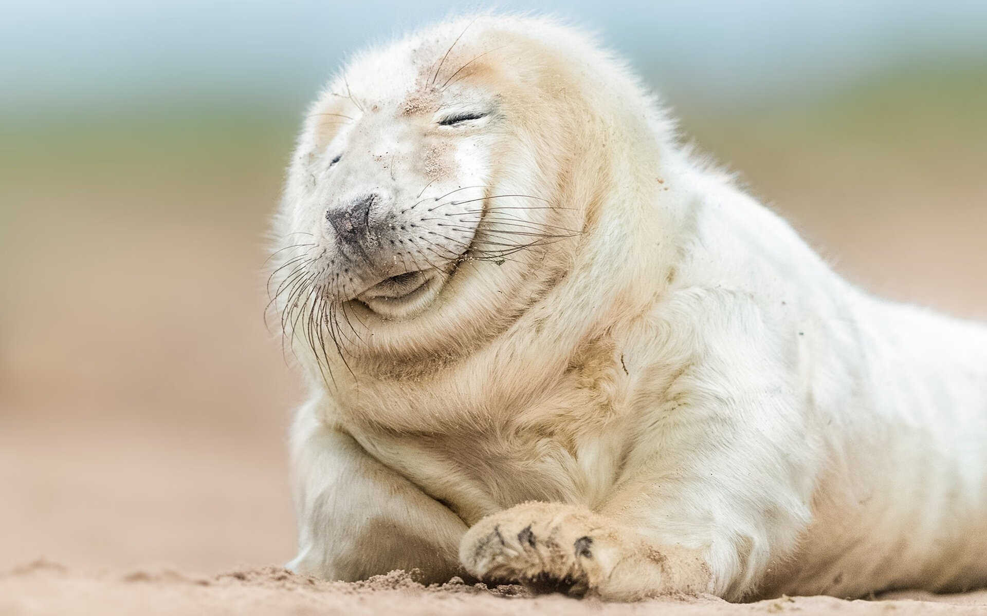 世界排名争夺战焦点战，玻利维亚战术压制挪威，高原主场成胜负手